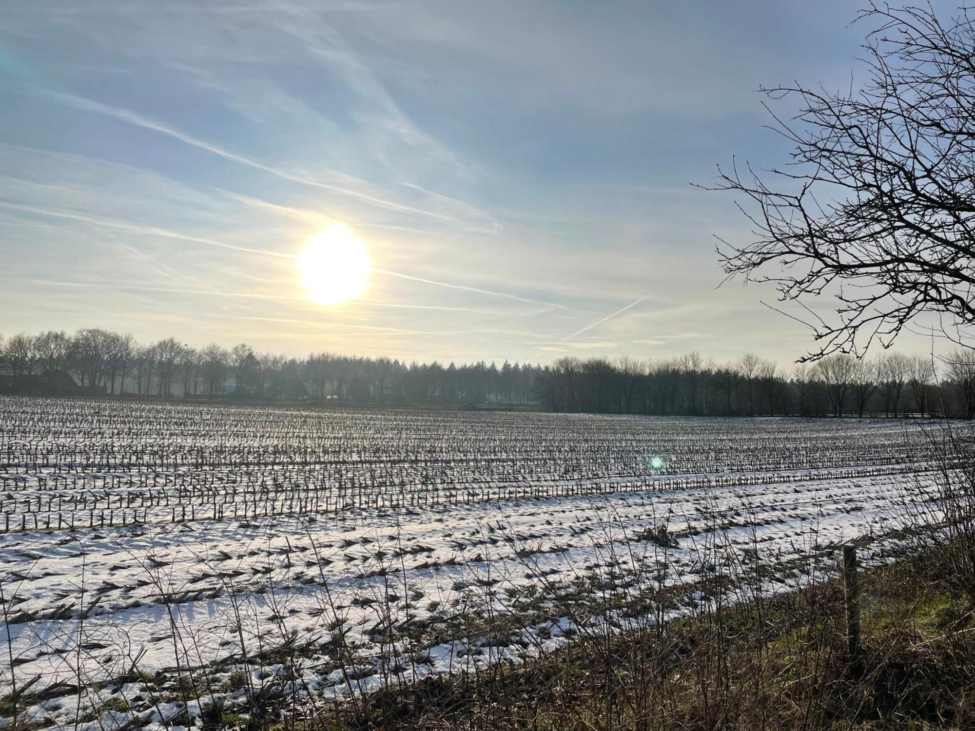 De 4 Seizoenen Loenen Exterior foto