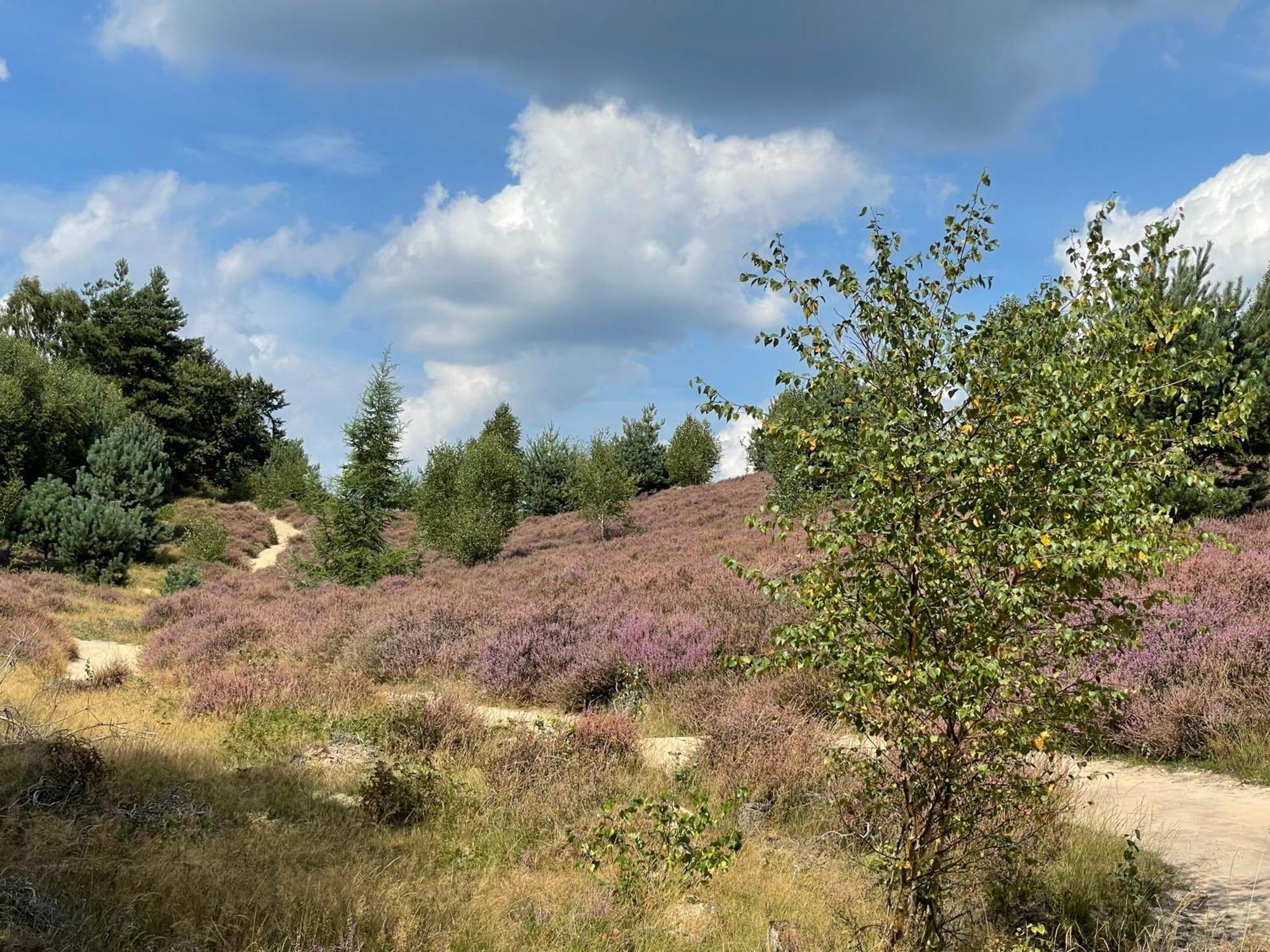 De 4 Seizoenen Loenen Exterior foto
